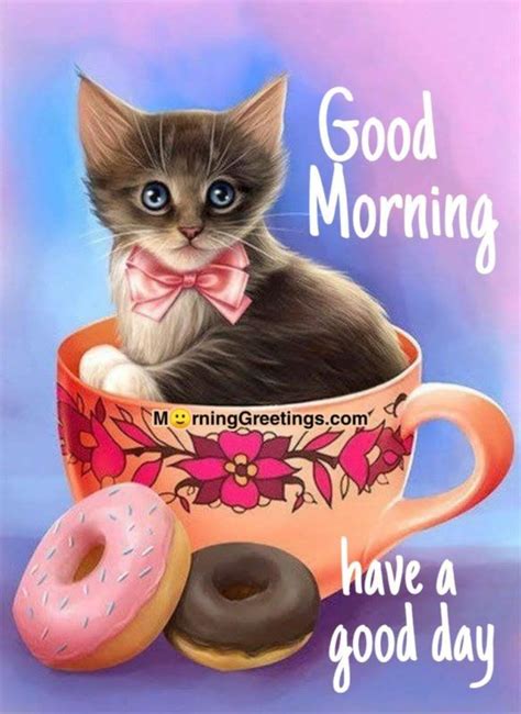 Adorable Good Morning Cat Greetings To Start Your Day Good Morning Cat Morning Cat Kitten Images