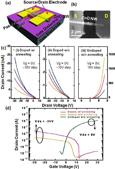 A Schematic Diagram Of A Zno Nw Based Fet B An Sem Image Of A Zno