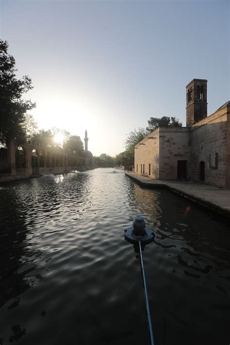 Sanliurfa Urfa Fish - Free photo on Pixabay - Pixabay