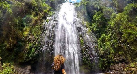 1 Day Materuni Waterfalls Coffee Tour Arusha FREETOUR