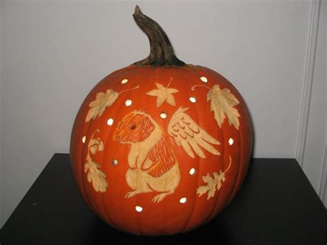 Morumoto: Happy Halloween and a Guinea Pig Pumpkin!