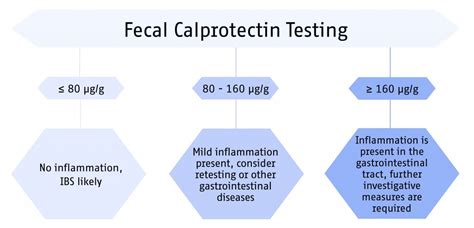 Top Calprotectin In Stool Test in 2023 Don t miss out | stoolz