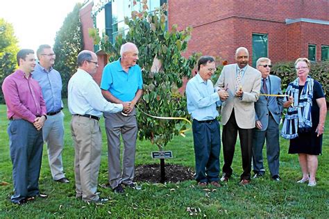 Tree To Honor Late Dr Robert White Daily Local
