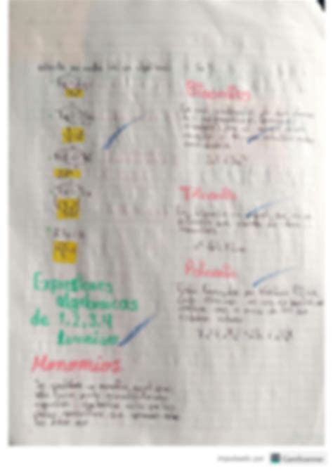 Solution Expresiones Algebraicas Caracteristicas Ejemplos Partes