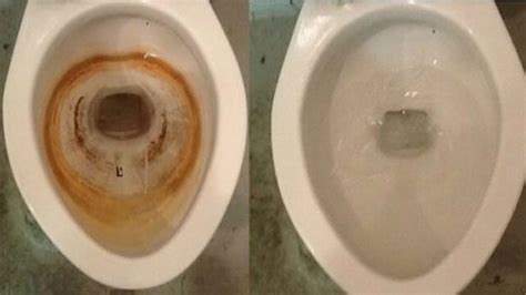 Put Vinegar Into A Toilet And Watch What Happens Youtube