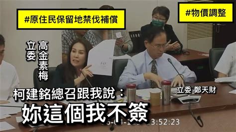 我（聽了）心裡很冷 高金素梅 原住民保留地禁伐補償 柯建銘 20240604 黨團協商 【立法院演哪齣？】 Youtube