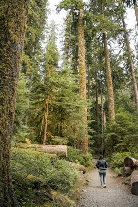 13 Olympic National Park Hikes Difficulty Length Maps