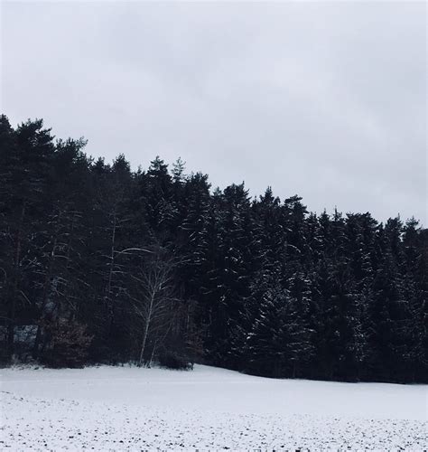 top     black forest   tripadvisor