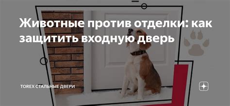 Животные против отделки: как защитить входную дверь | Torex Стальные ...