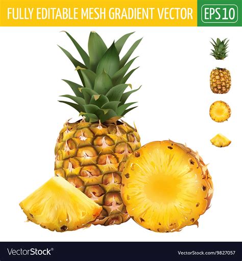 Pineapple On White Background Royalty Free Vector Image