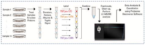 Tmt蛋白质组学技术tmt标记定量蛋白质组学