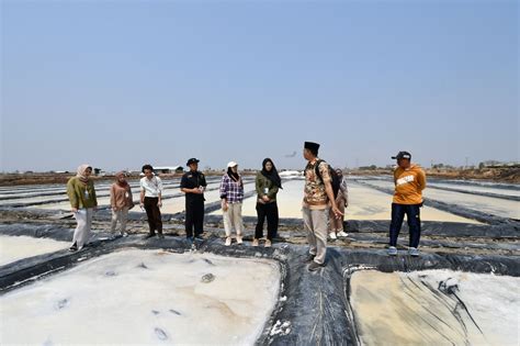 Dukung Budidaya Tambak Garam Pertamina Beri Bantuan Dana Ke Pesantren