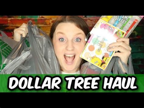 Dollar Tree Haul April 2024 Sesame Street Wet Wild Items