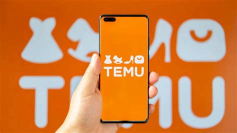 Temu Is The New SHEIN On The Viral List YPulse