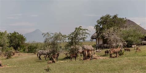 Apoka Safari Lodge Wildplaces