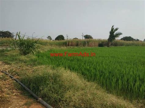 Acres Agriculture Land For Sale Near Midjil Road Kalwakurthy