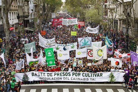 El Nuevo Código Penal Prevé La Despenalización Del Consumo De Drogas Y El Autocultivo De