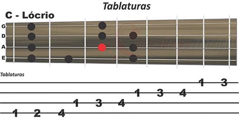 Como Entender As Tablaturas Contrabaixo El Trico