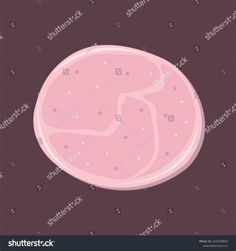 Roast Sliced Ham Flat Vector Illustration Stock Vector Royalty Free