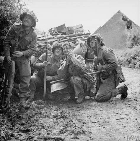 THE BRITISH ARMY IN NORMANDY 1944 Imperial War Museums