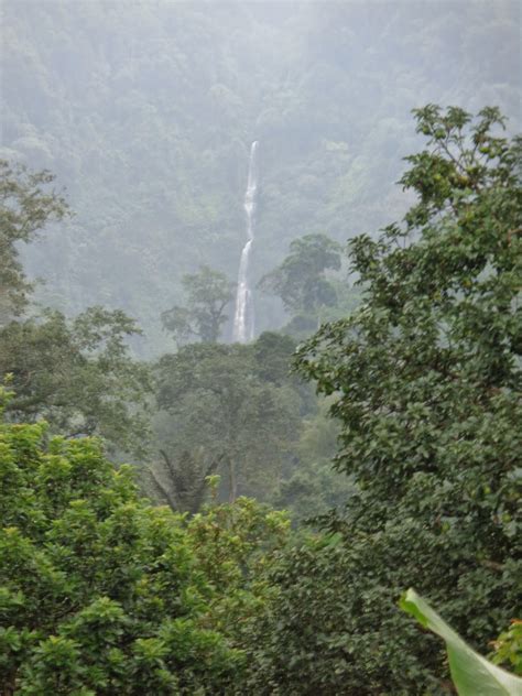 Agelejer Men Air Terjun Jatuh Dari Langit Tancak Tulis Jember