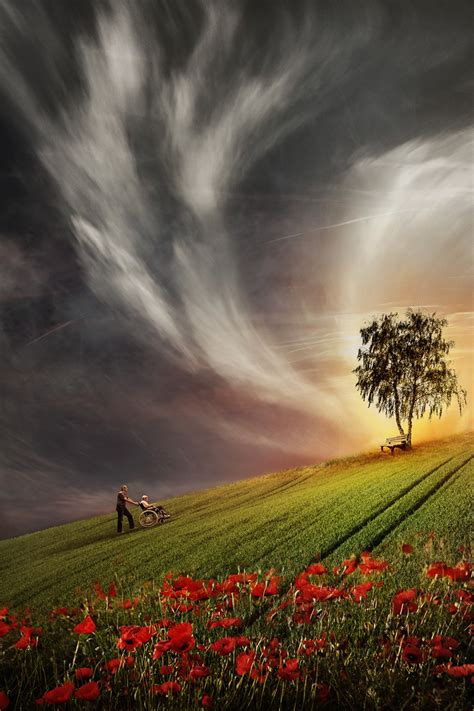bergauf Foto & Bild | fotomontage, composing , baum Bilder auf ...