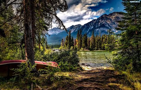 Park Narodowy Jasper Alberta Kanada Jezioro Góry Drzewa Łódź