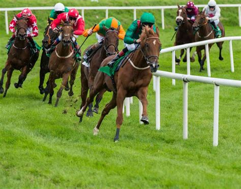 Turf Racing History Types Objective And Equipment Sportsmatik