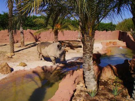 Murcia Entrada A Terra Natura Murcia Getyourguide