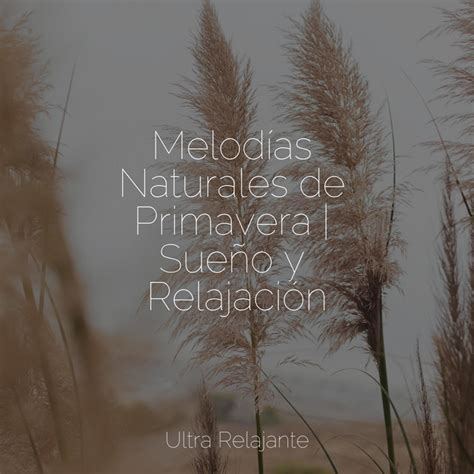 Melodías Naturales de Primavera Sueño y Relajación Album by Unidad