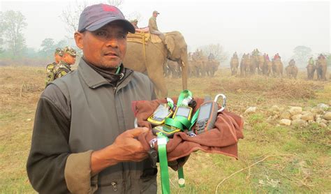 Nepal Starts Counting Its One Horned Rhinos After Six Years