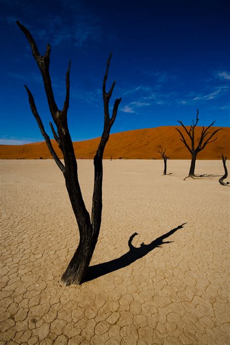 Namibia Eric Montfort Flickr