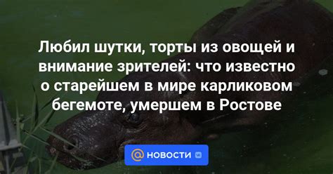 Любил шутки торты из овощей и внимание зрителей что известно о