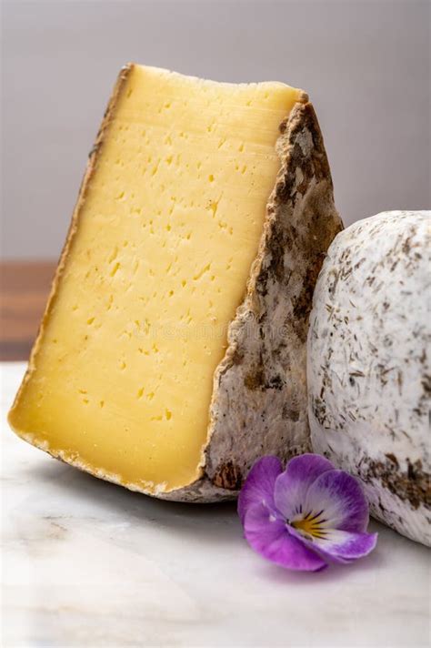 Cheese Collection Tomme De Savoie Cheese From Savoy Region In French