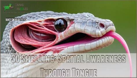 Snake Tongue Anatomy Function: the Secret Behind Their Super Senses