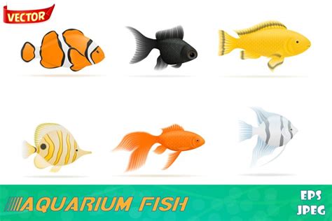 aquarium fish vector illustration