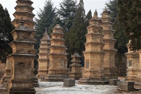 Tripadvisor Private Day Tour Naar Shaolin Tempel Met Kungfu Klasse