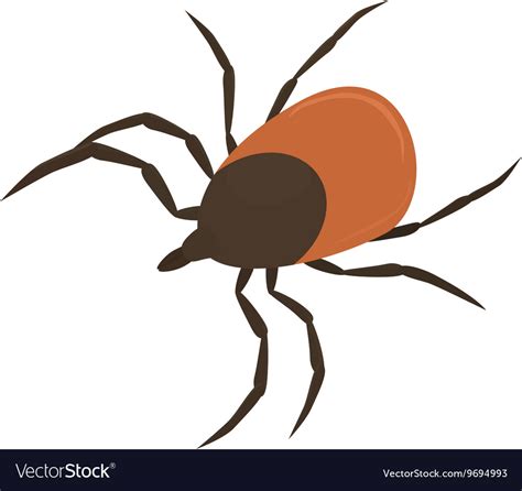 Brown Tick Royalty Free Vector Image Vectorstock