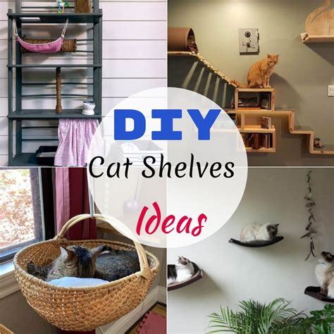 18 Diy Cat Shelves For Your Friend Diyncrafty