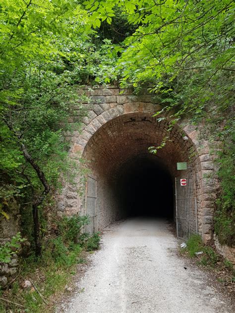 Lungo I Binari Della Natura Oltre Il Sentiero