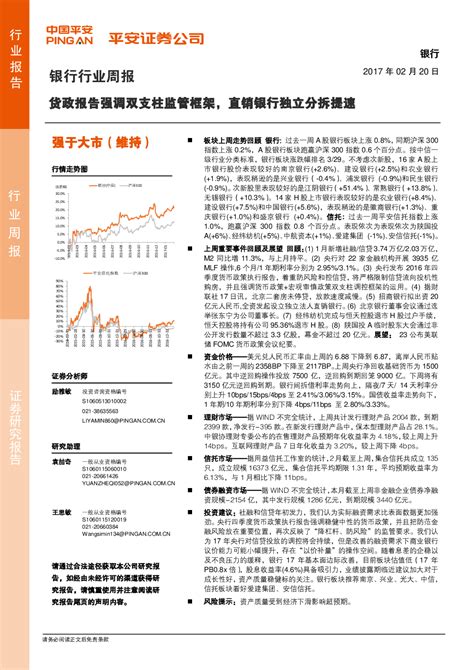 金融 2017 02 20 励雅敏、袁喆奇、王思敏 平安证券 陈