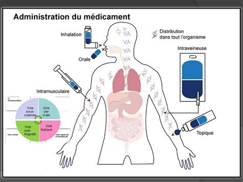 SOLUTION Voies d administration des médicaments Studypool