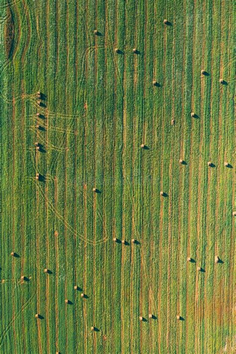 Aerial View Of Summer Field Landscape With With Dry Hay Bales During