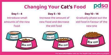Should You Change Cat Food Hot Sale Centralcountiesservices Org
