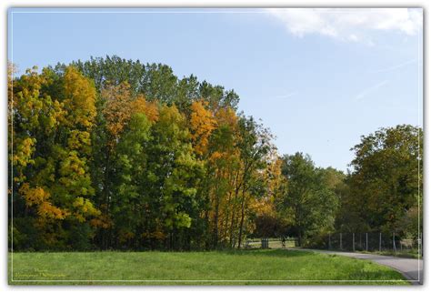 Automne Gu Mar F Alsace Pierre Promeneur Photographe Flickr