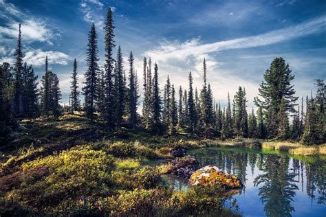 *🇷🇺русский⬇️ Tiny taiga lake (Ergaki Nature Park, Krasnoyarsk Krai ...