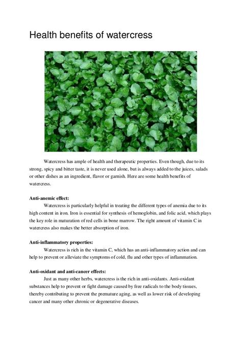 Health Benefits Of Watercress