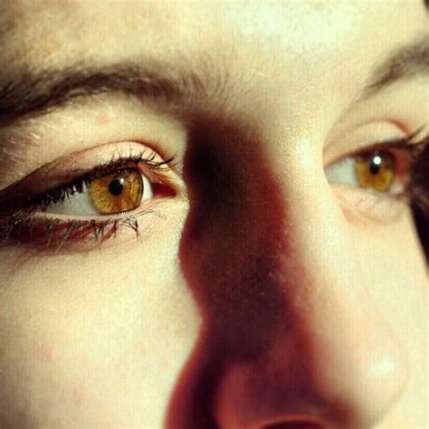 Brown eyes | Brown eyes, Eyes, Photography