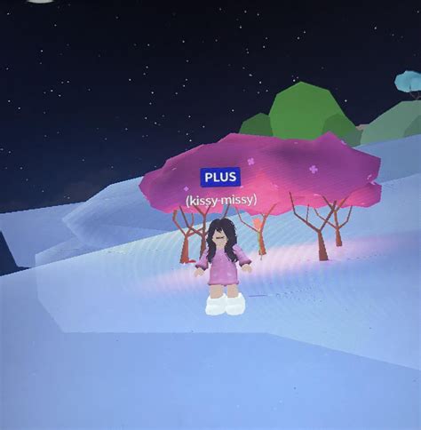 Look at all my Roblox pictures in meepcity : r/roblox