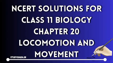 Ncert Solutions For Class Biology Chapter Locomotion And Movement